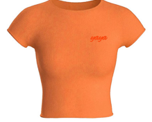Peach Mode Cropped Tee